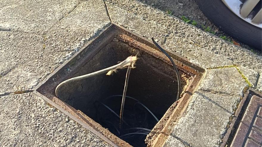 Los roedores, los enemigos de la fibra óptica en La Fresneda: &quot;Nos dejan sin conexión&quot;