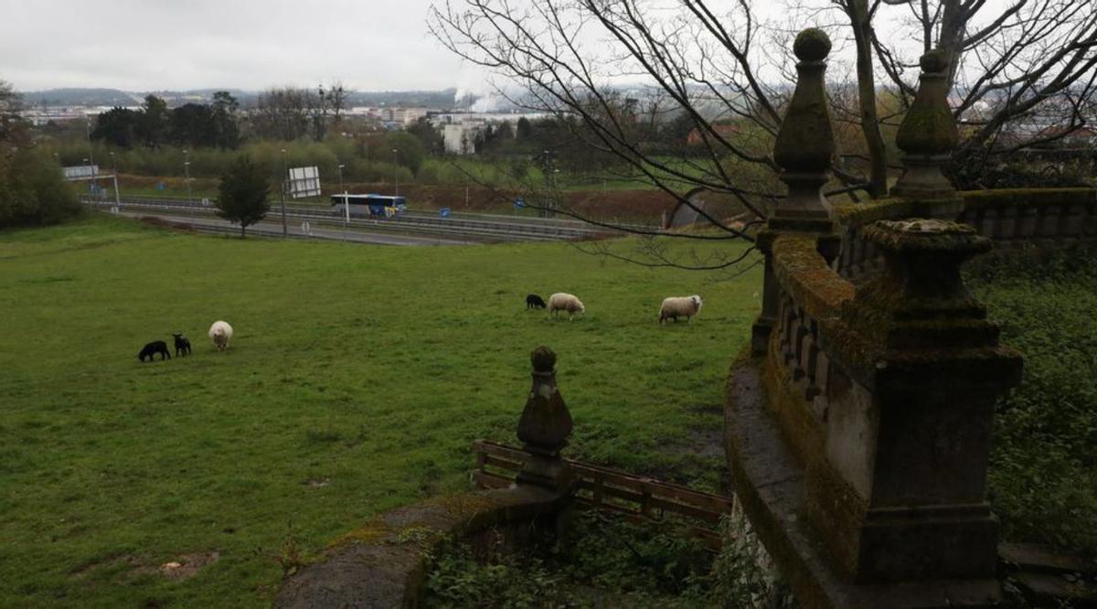 Uno de los terrenos donde se construiría un campo de fútbol. | Luisma Murias