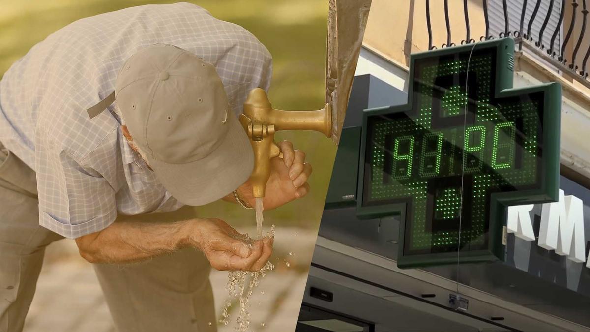 Les onades de calor fan créixer el risc de transmissió d’infeccions Les onades de calor fan créixer el risc de transmissió d’infeccions