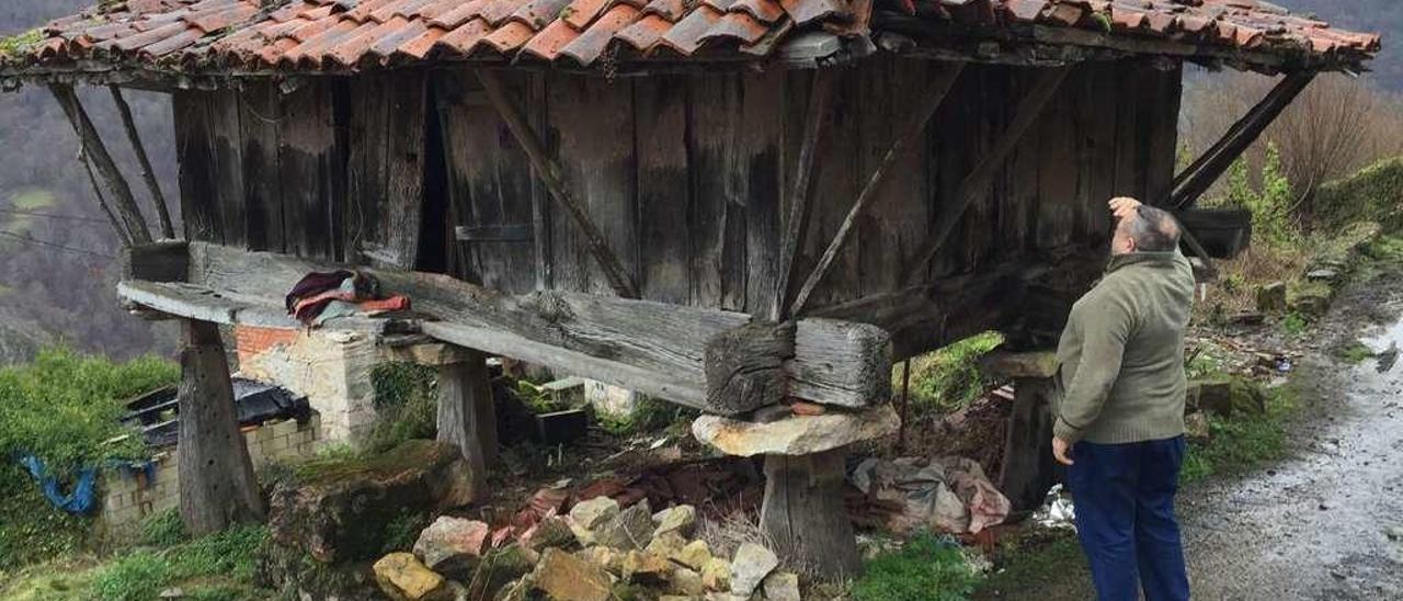 Un vecino observa el estado del hórreo de Vis.