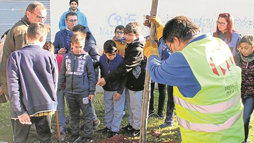 650 escolares plantan árboles en la semana dedicada al medio ambiente