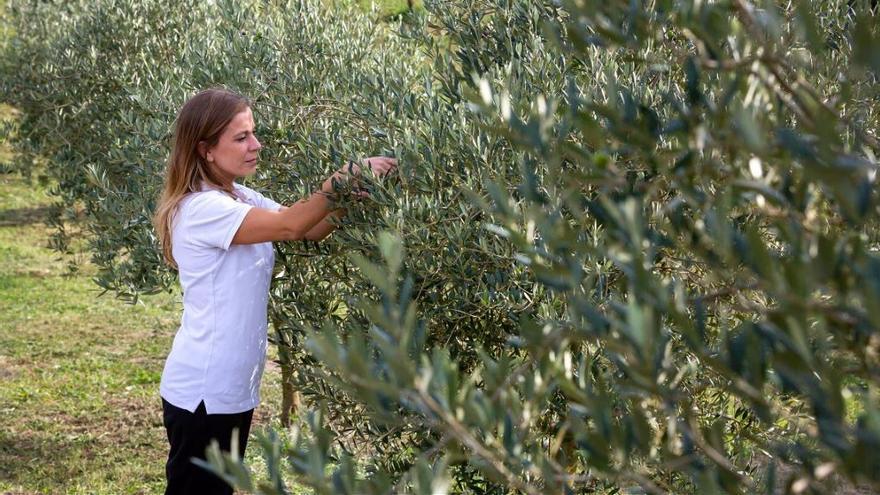 BBVA apoya el emprendimiento rural joven con sus Premios a los Mejores Productores Sostenibles
