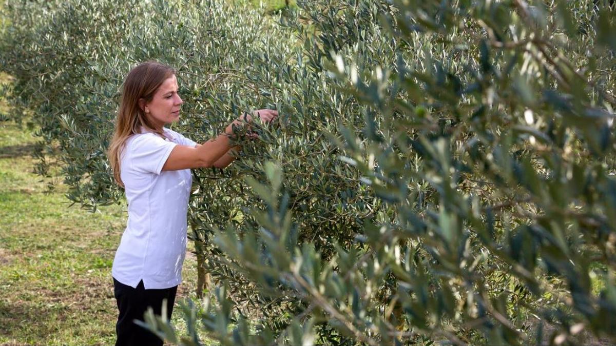 BBVA ha lanzado la sexta edición de los Premios BBVA a los Mejores Productores Sostenibles de España