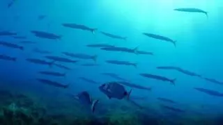 El mar Balear más caliente desde 1940 allanó las últimas lluvias torrenciales en el Mediterráneo
