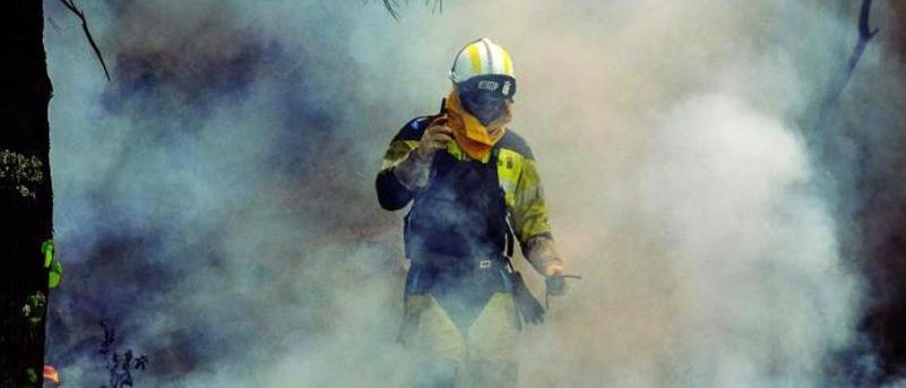 Un bombero forestal en plena faena en los montes del norte de Tenerife.