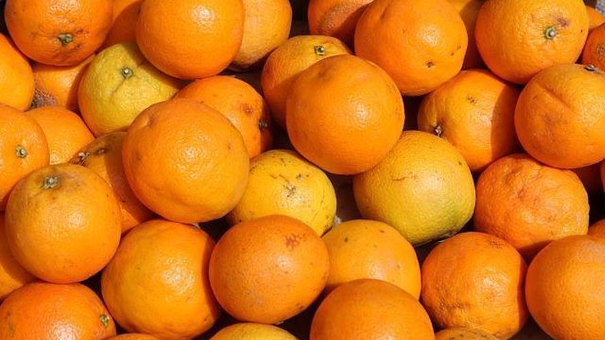 Agreden a un agricultor y le sustraen 5.000 kilos de naranjas