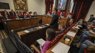 El PSOE avisa de que el ROM permitirá subidas de sueldos y directores de área externos en el Ayuntamiento de Elche
