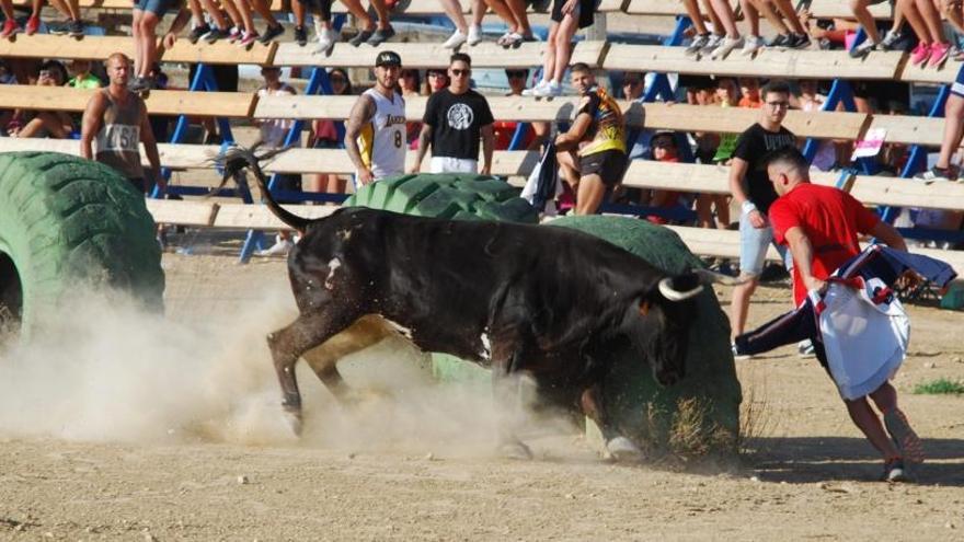 Imatge d&#039;arxiu de les festes.