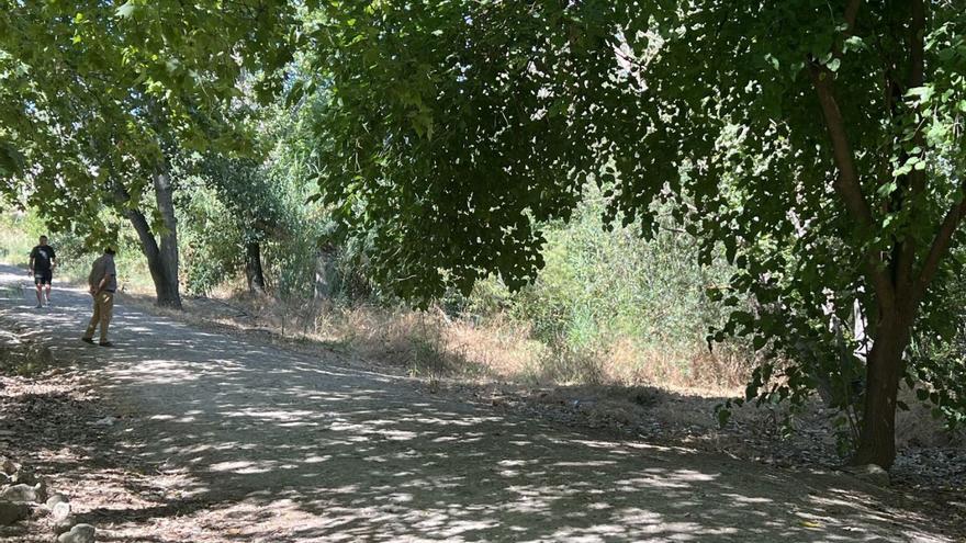 Interior del Parque del Cascajar en Lucena. | M. GONZÁLEZ
