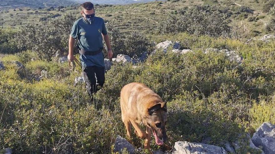 Hallan el cadáver de una persona en avanzado estado de descomposición en Castelló