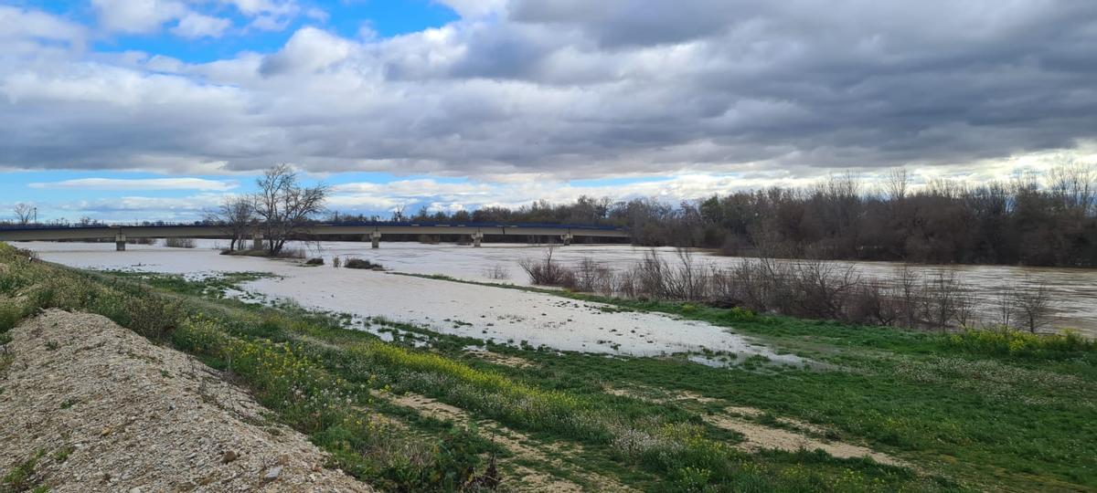 El río Ebro a su paso por Pradilla, este martes
