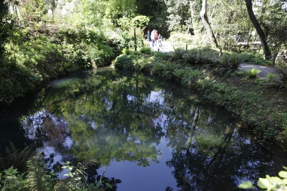 El Botánico celebra su 15 cumpleaños