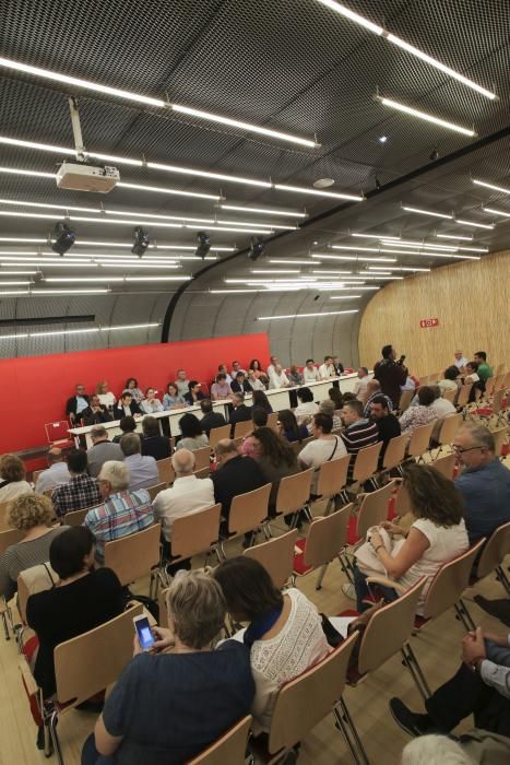 Comité autonómico de la Federación Socialista Asturiana (FSA)