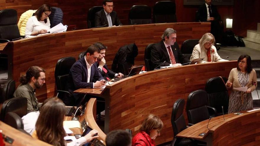 La consejera de Desarrollo Rural, M.ª Jesús Álvarez, a la derecha, en el Pleno de ayer en la Junta General.