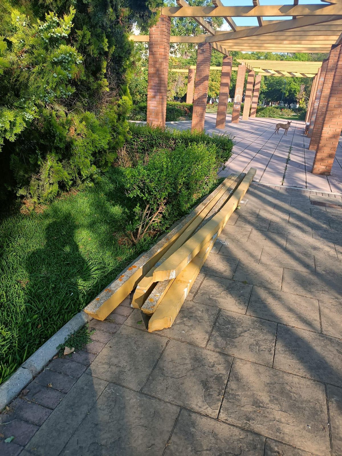 Las vigas desplomadas la semana pasada, de la pérgola del Parque Maria Luisa.
