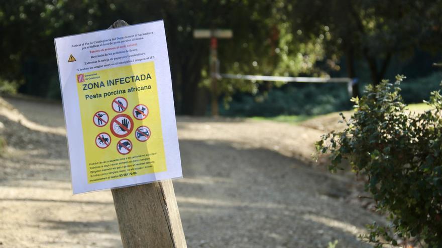 Un cartell informant d'una zona infectada a l'àmbit de Can Coll, a Cerdanyola del Vallès.
