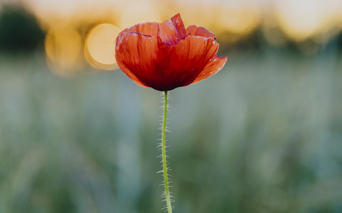 El hombre siembra y la naturaleza destruye, que se lo pregunten a los agricultores si no.