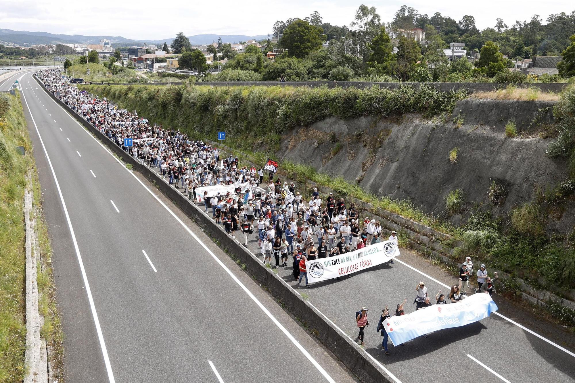 Miles de gallegos marchan de Pontevedra hasta Lourizán en protesta por las celulosas de Ence y Altri
