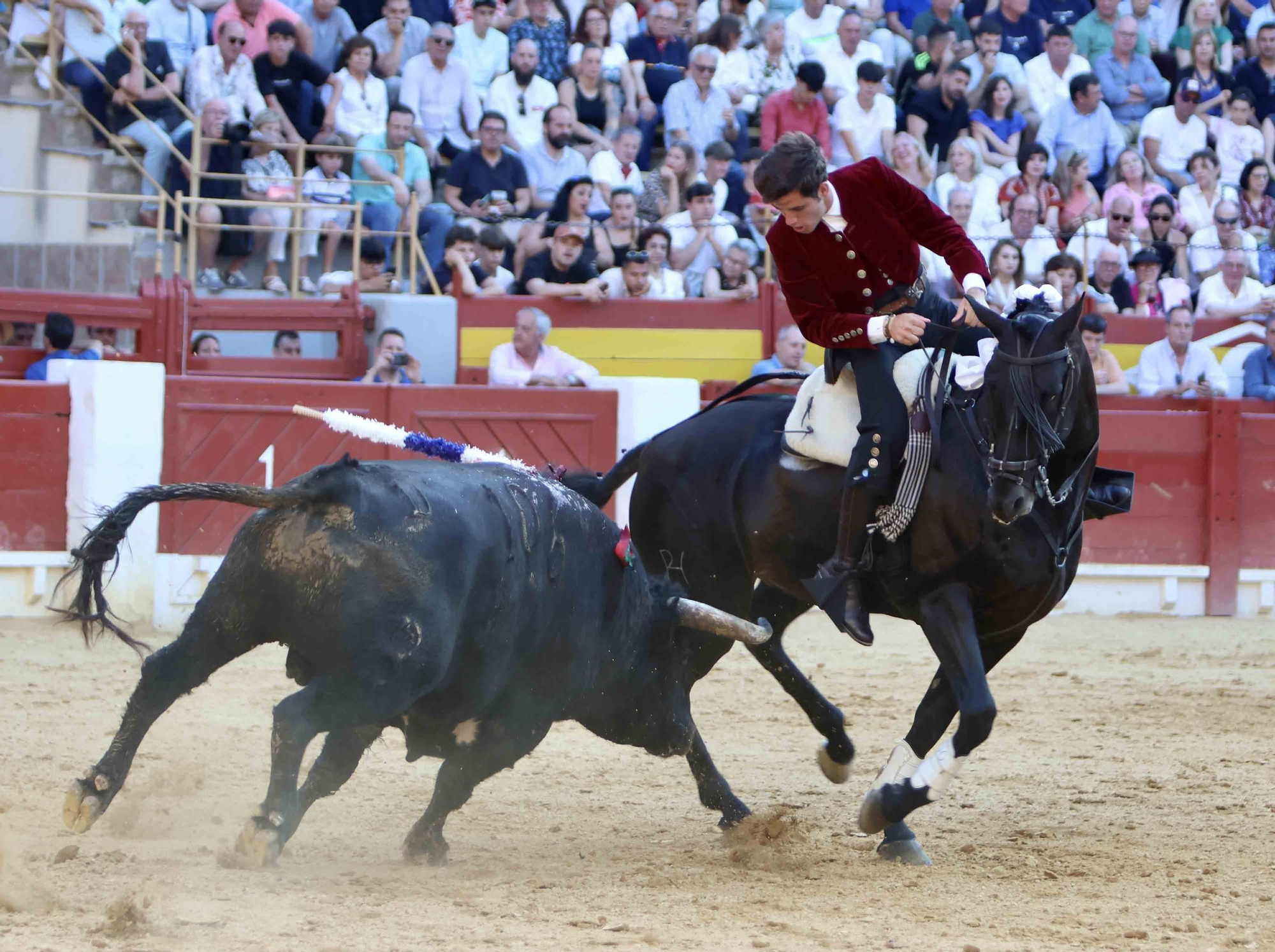 Andy Cartagena, Diego Ventura y Guillermo Hermoso abren la puerta grande en la primera de las Hogueras de Alicante 2024