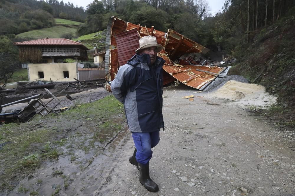 Temporal en Asturias: Un argayo sepulta una ganadería en Salas