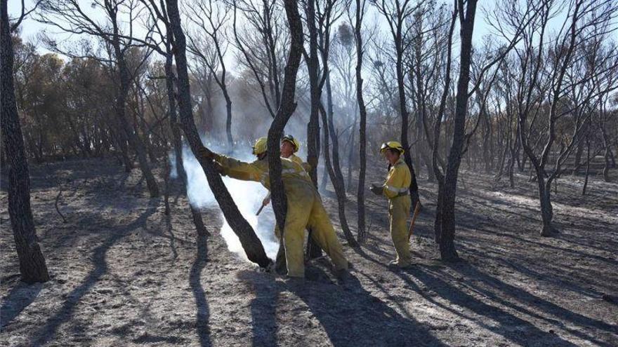 Las hectáreas calcinadas este año en Aragón caen a la mitad gracias a las lluvias y a la pandemia