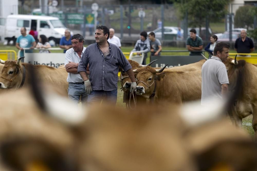 Fin de fiesta en Avilés.