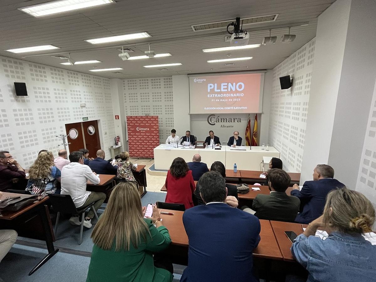 Imagen del pleno extraordinario de 2023 en el que eligió a Cano para el Comité Ejecutivo.