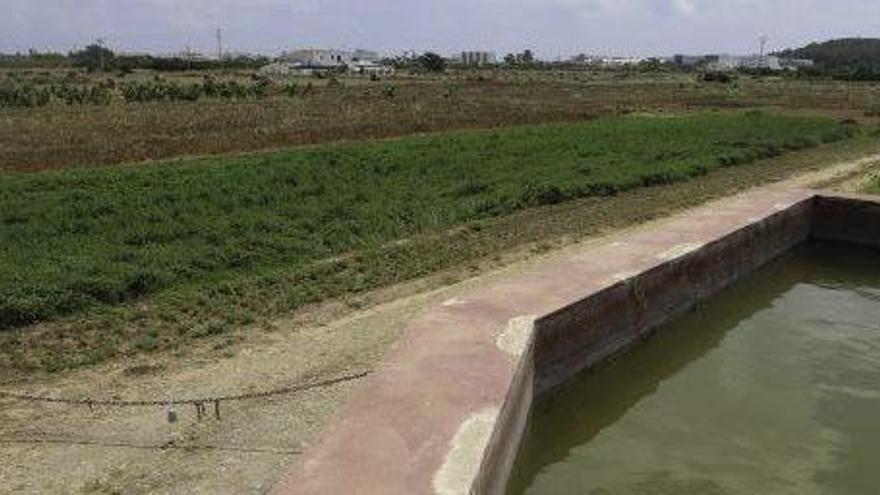 Parcelas cultivadas en la zona de es Cubells.