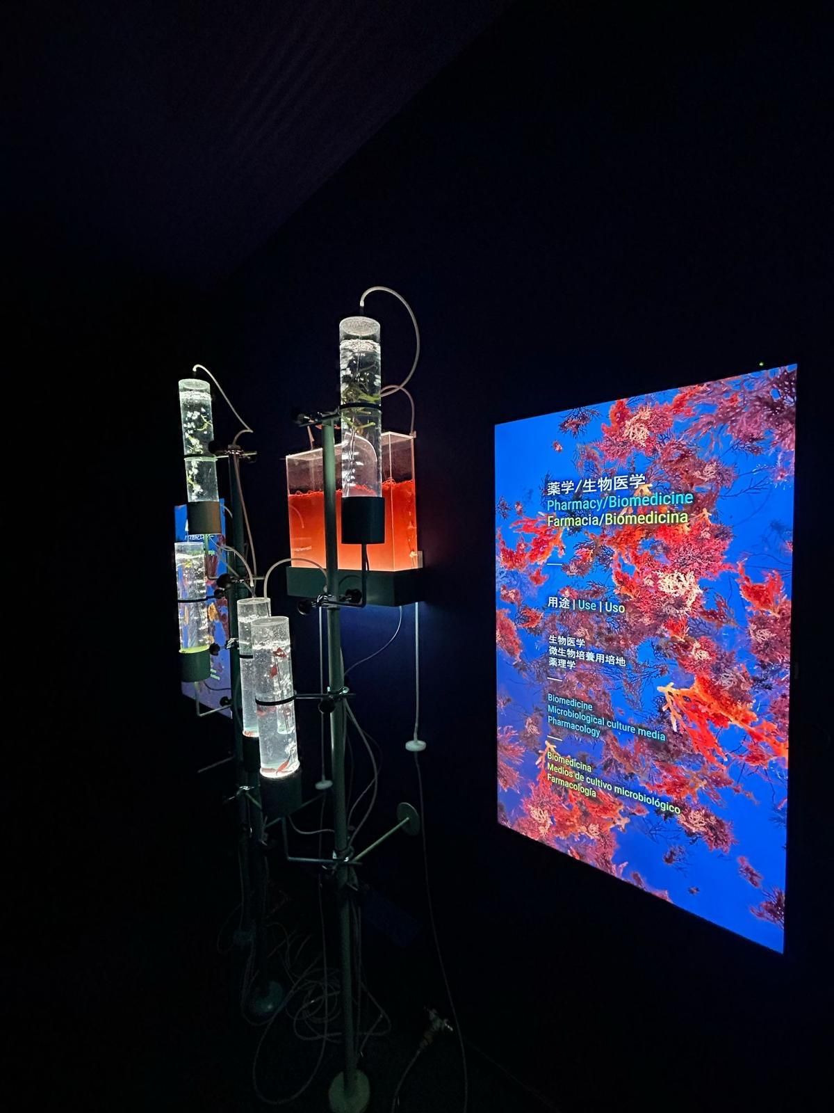 FOTOGALERÍA | Así es el pabellón de España en la Expo Osaka 2025