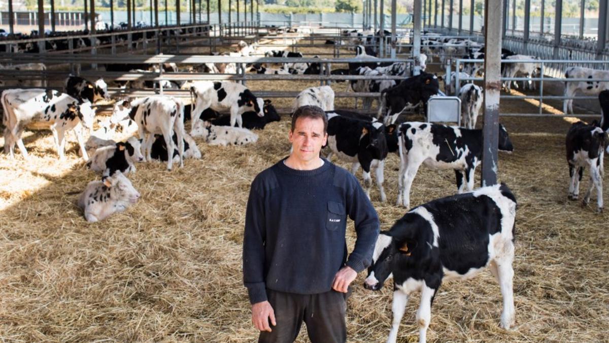 Ramón Morla Ebri , propietario de la granja More Holstein.