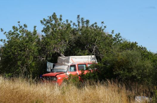 Galería: La Policía Local en el asentamiento de sa Joveria de Ibiza