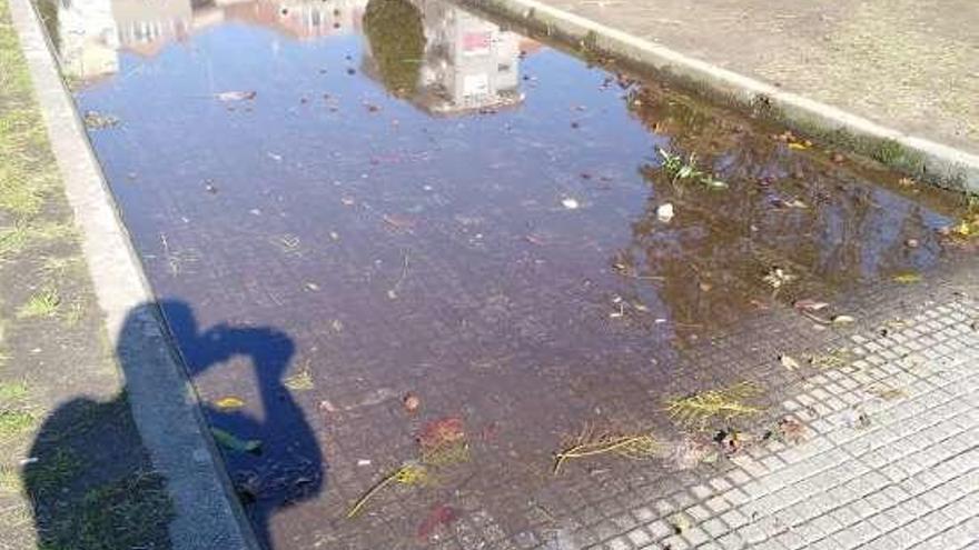 Poza de agua en un tramo de la alameda.