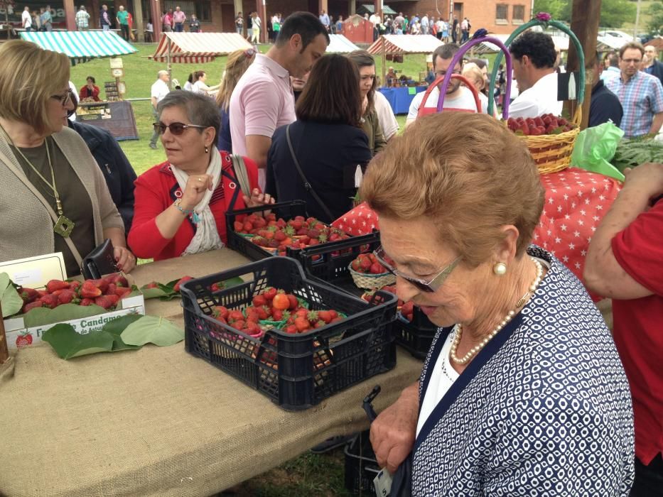 Festival de la fresa en Candamo