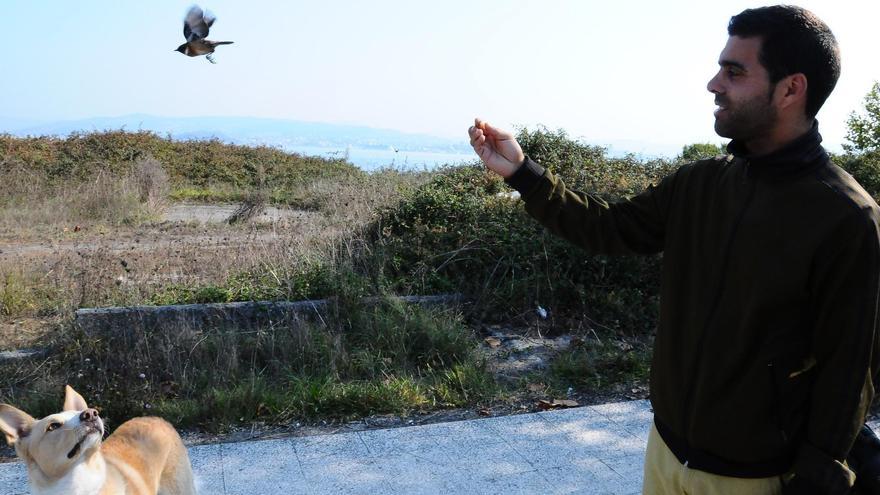 Los megaincendios y la desaparición de las aves agrarias comparten un origen común