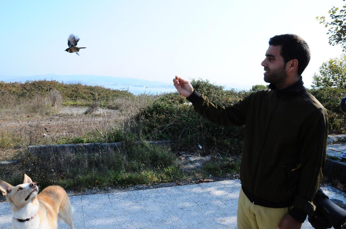 Actividad ornitológica de avistamiento de aves en Galicia.