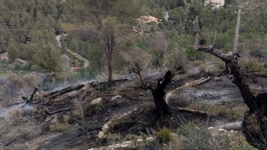 Una quema forestal mal apagada estaría en el origen del incendio de Sóller