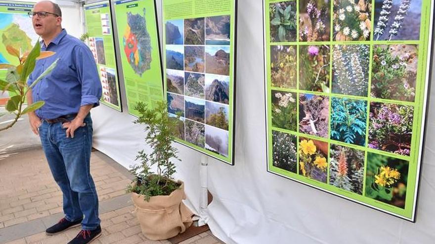 Día Mundial del Medio Ambiente en Telde 2017