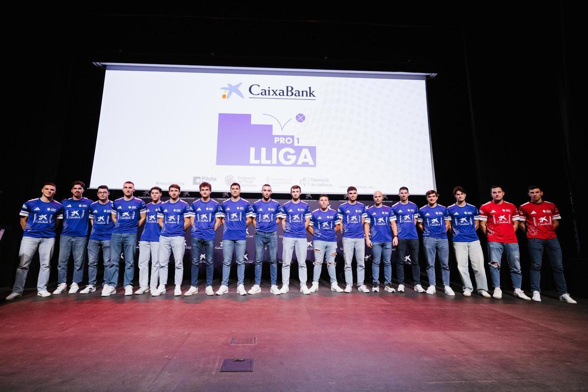 Jugadors de raspall Pro1.