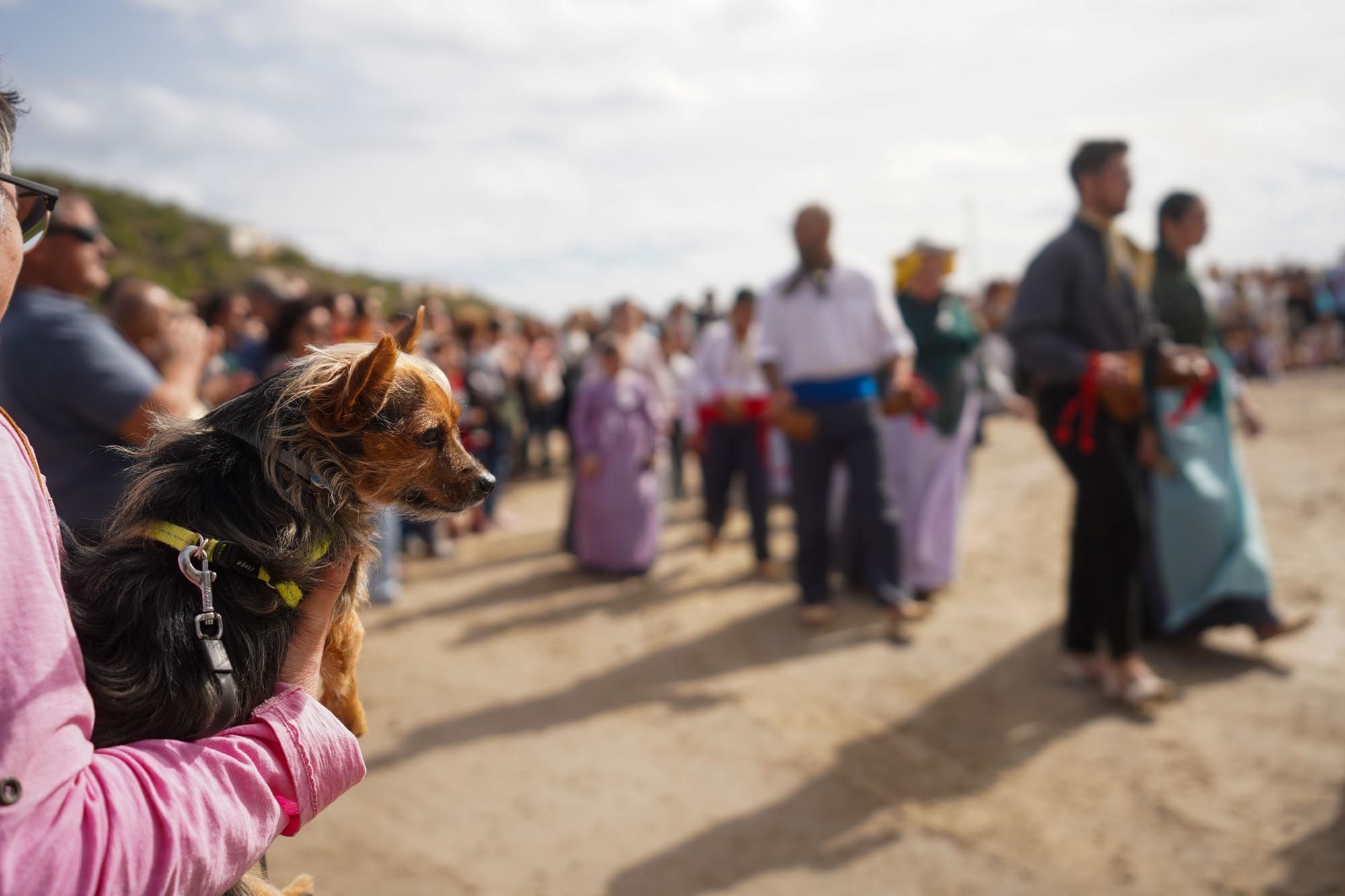 Mira aquí las imágenes de las actividades de la Fira de la Sal