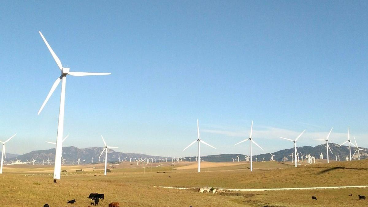 Un parque de molinos eólicos.