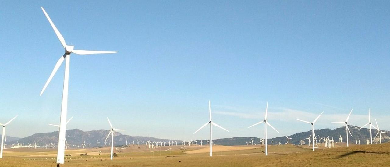 Un parque de molinos eólicos.