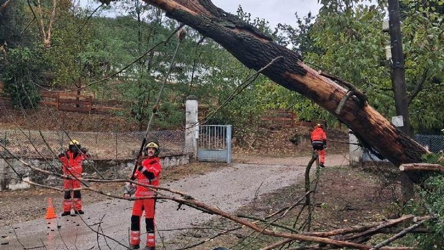 De l’ES-Alert a aixecar les restriccions: ¿què va fallar en la previsió de les pluges a Catalunya?