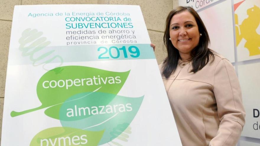 La Diputación destina 200.000 euros al ahorro energético de cooperativas y pymes