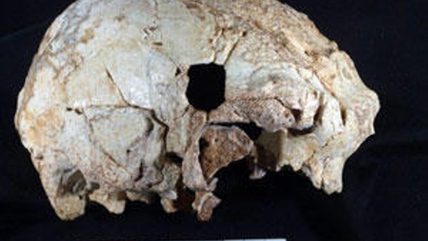 El cráneo hallado en Aroeira, en Portugal.