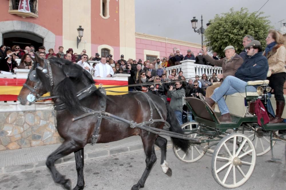 Bendición de los animales en Cartagena