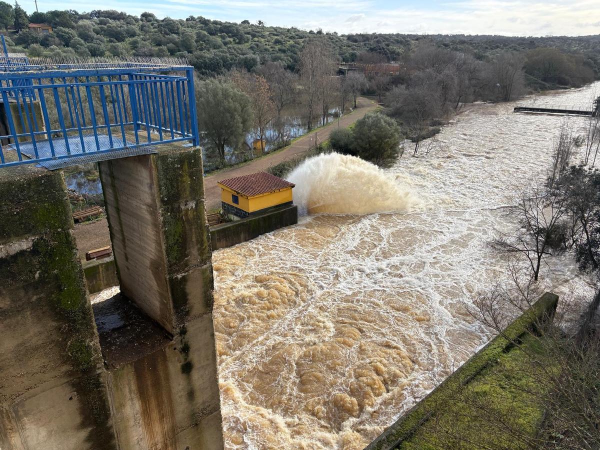 Fotogalería | Cultivos anegados en fincas de Mérida por la sucesión de borrascas