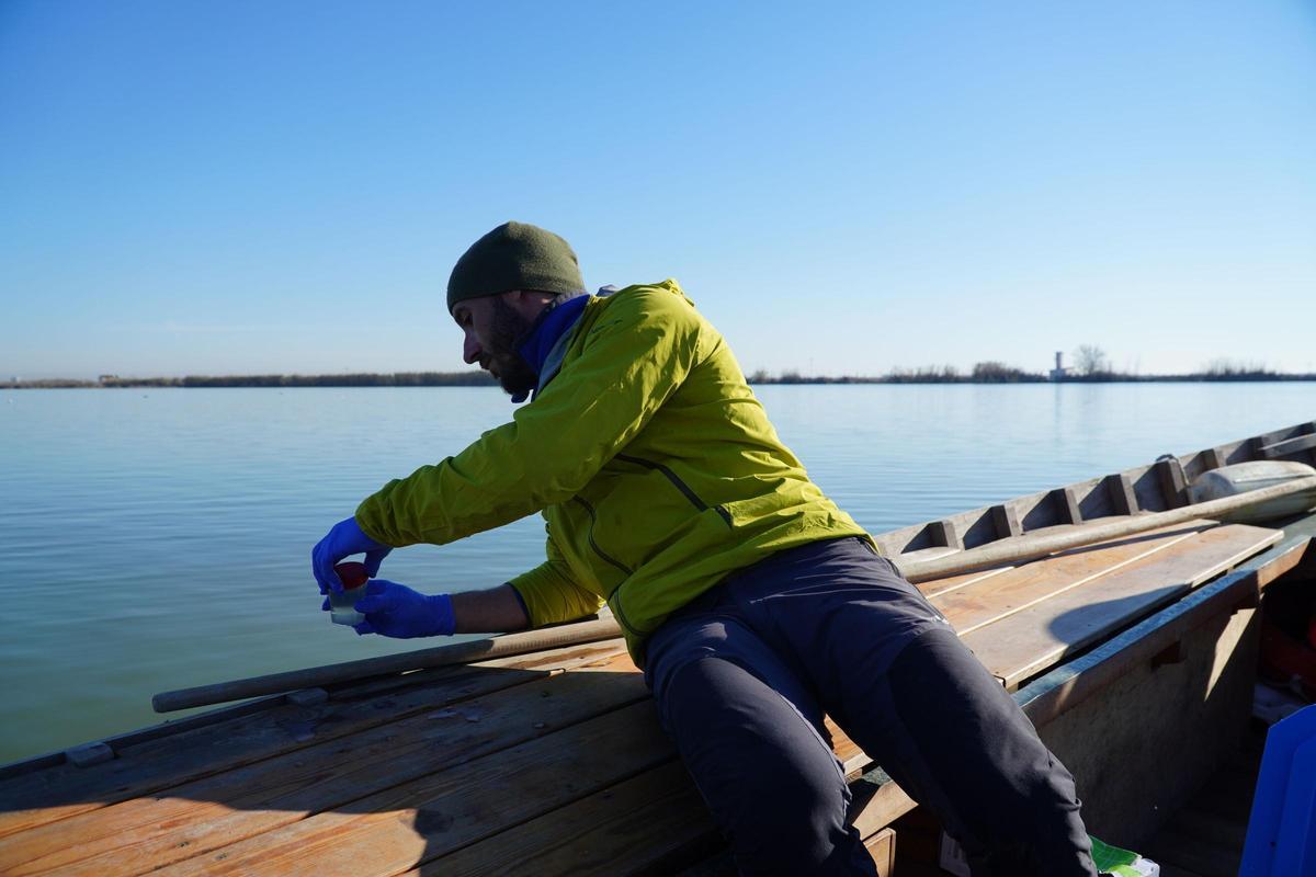 Imagen de una de la toma de muestras realizada en el lago de l'Albufera este mes de febrero.