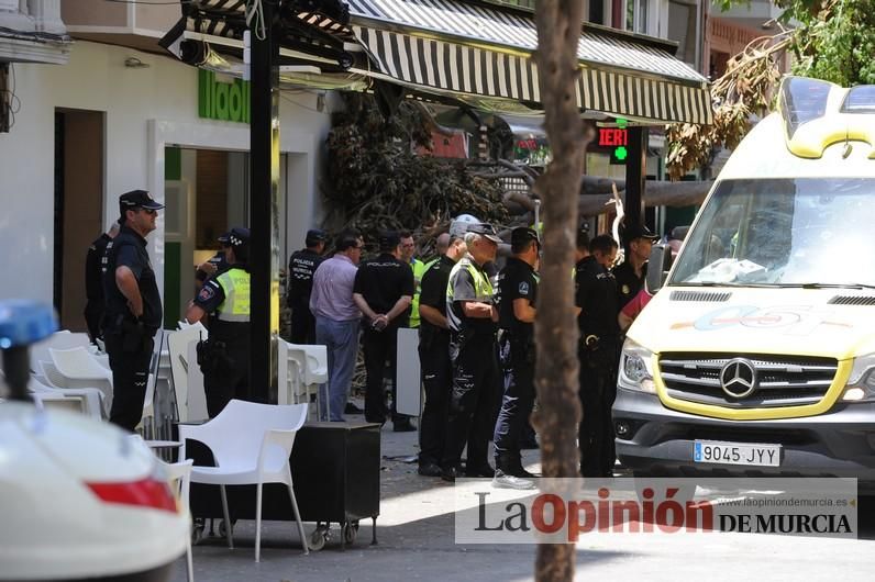 Cae parte del ficus de Santo Domingo en Murcia