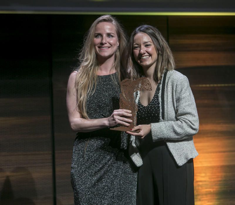 Premios del Consejo Social de la UA