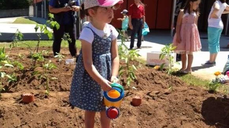 Los niños contribuyen en las labores de riego de distintas hortalizas como tomates o lechugas del huerto del CEIP Xesús Golmar de Lalín.